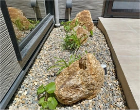 植栽の施工事例
