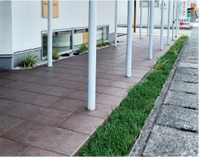 植栽の施工事例