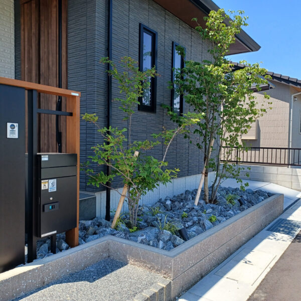 写真1を表示