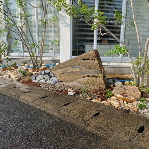 写真1を表示