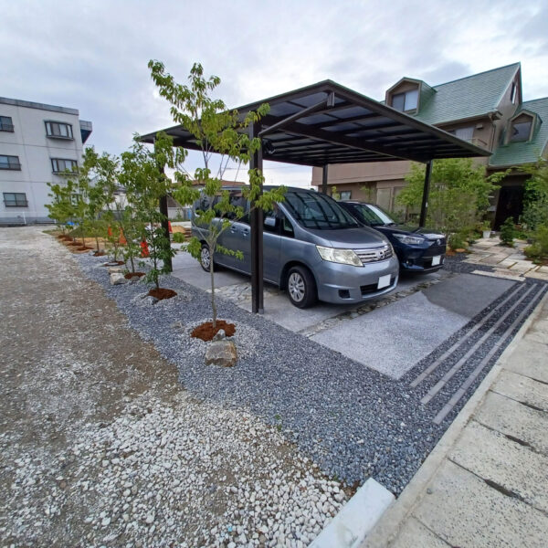写真1を表示
